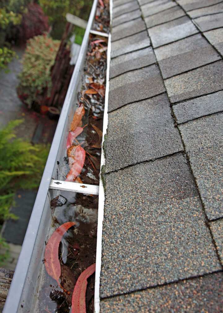 The Queen City Gutter Expert Gutter Cleaning Cincinnati